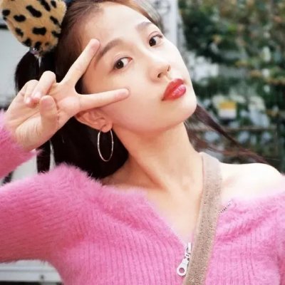 鸽之翼